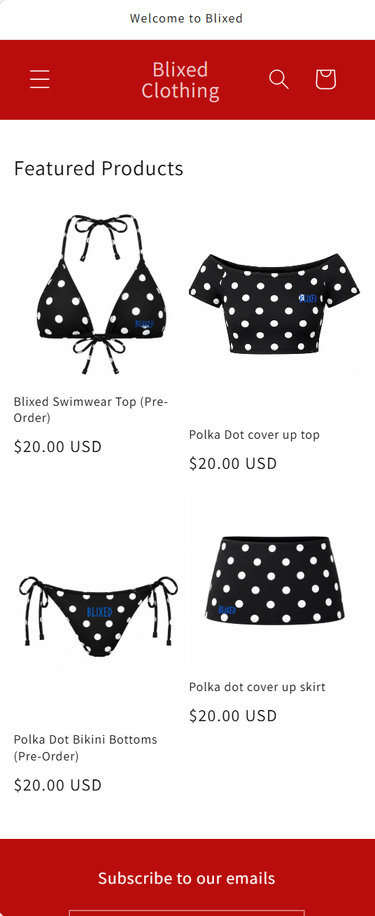 Shopify store before redesign 2